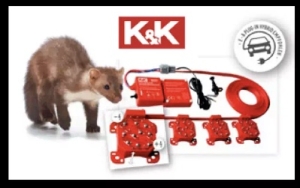 PKW-Marderabwehr-im-Wert-von-319-uro