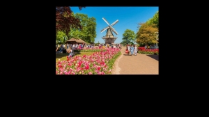 3x-Besuch-auf-dem-weltbekannten-Tulpenhof-inkl-bernachtungen