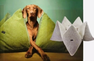 2-Designer-Hundebett-PLUS-Gutschein-200-uro