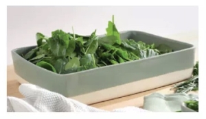 10-Auflaufformen-von-ASA-Gesamtwert-279-uro