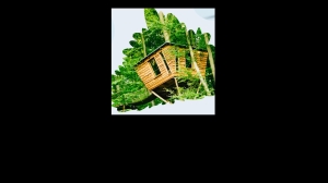 10x-Urlaub-im-Baumhaus-Resort--1000-uro-uvm