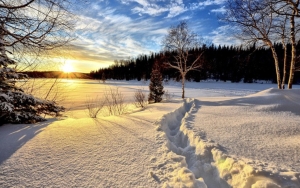 Wintermrchen-in-Breitenbrunn-am-Auersberg