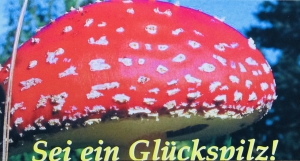 Sei-ein-Glckspilz-XXL