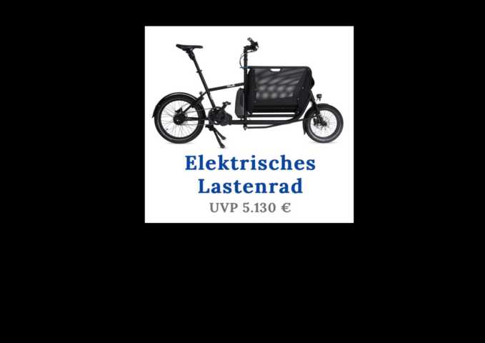 Bild 1 von 15 Muli Motor E-Lastenräder im Wert von je 5.130 €uro