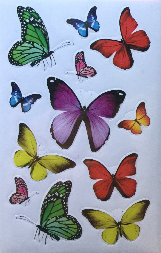 Bild 1 von Schmetterlinge (groß & klein)