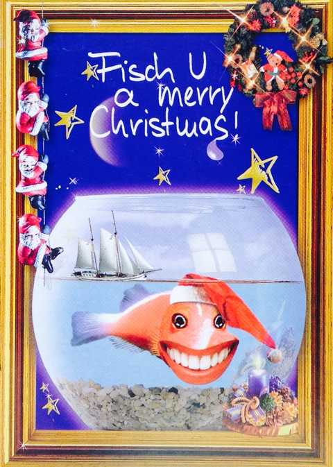 Bild 1 von Fisch U a merry Christmas!