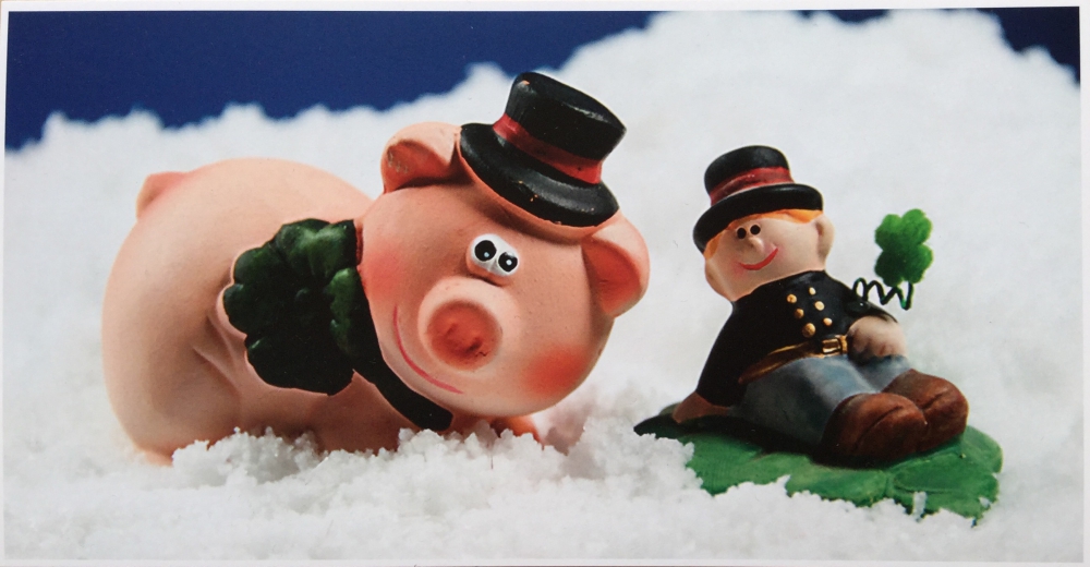 Bild 1 von Glücksschwein im Schnee (XXL)