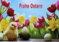Ostern  No. 9