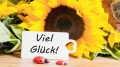 Bild 2 von Hund im Glück (XXL)