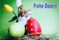 Bild 1 von Ostern  No. 6