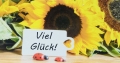 Viel Glück / Sonnenblume (XXL)