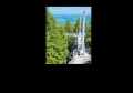 Nervenkitzel pur... Der WALDWELT SKYWALK