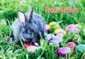 Ostern  No. 4