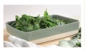 10 Auflaufformen von ASA (Gesamtwert: 269 €uro)