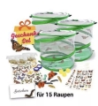 25x Schmettling - und Marienkäfer-Zuchtsets (Gesamtwert: 1.800 €uro) 